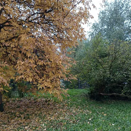 Apartament Obergeschoss - Katharina Von Berg Rottweil