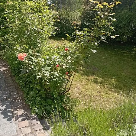 Obergeschoss - Katharina Von Berg